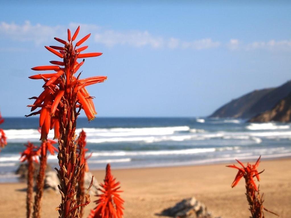 Far Niente Beachfront Guesthouse วิลเดอร์เนส ภายนอก รูปภาพ